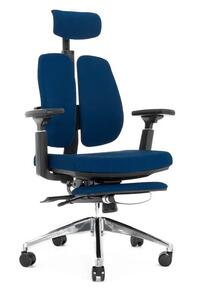 ALPHA FOOTREST BLUE
