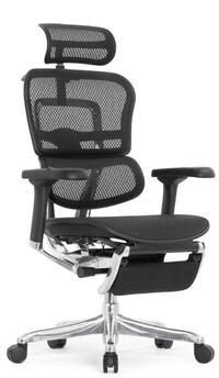 Ergohuman Elite 2 Black Footrest