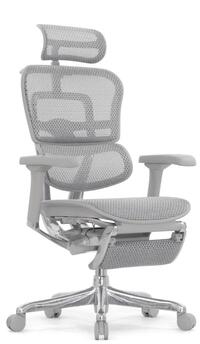 Ergohuman Elite 2 Gray Footrest