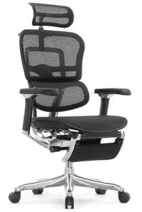 Ergohuman Luxury 2 Black Footrest