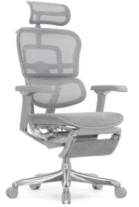 Ergohuman Luxury 2 Gray Footrest