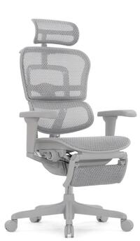 Ergohuman  Ultra Gray Footrest