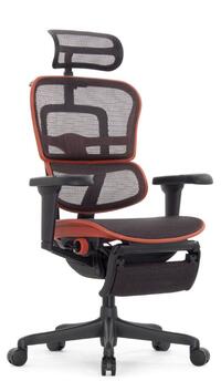 Ergohuman Ergohuman Ultra X9 Footrest