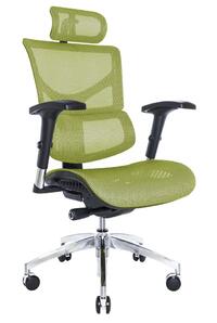 Falto SAIL ART GREEN