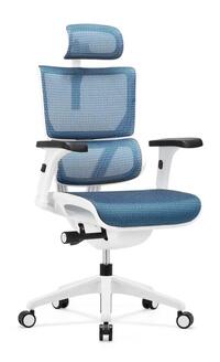 Falto Vision BLUE